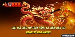banner-giai-ma-giac-mo-thay-rong