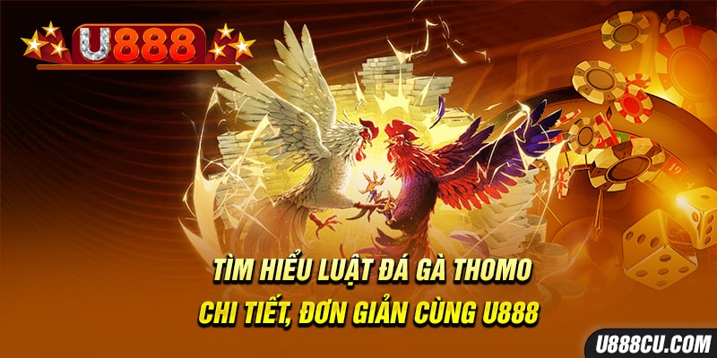 banner-luat-da-ga-thomo