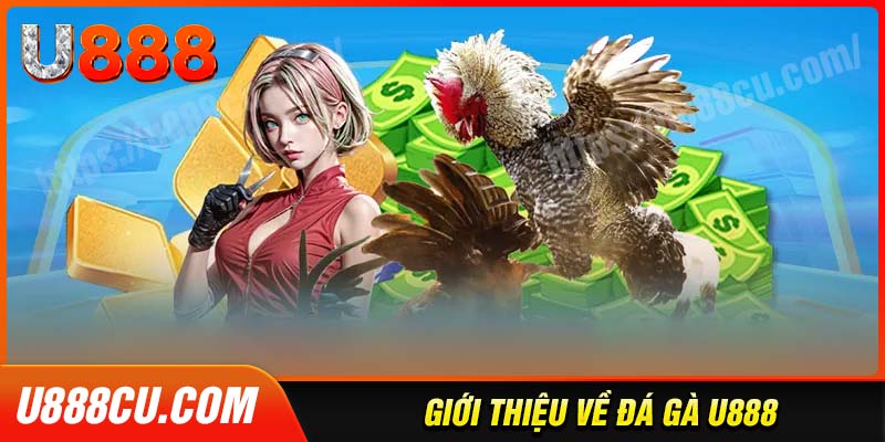 Đôi nét về thiên đường đá gà U888 của kê thủ