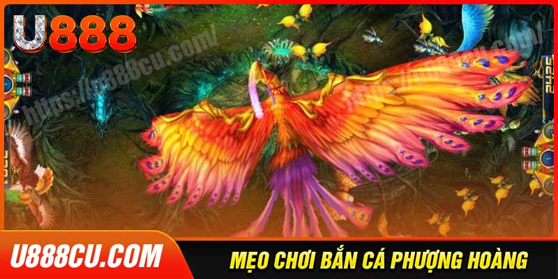 Kinh nghiệm chơi bắn cá Phượng Hoàng thắng lớn từ cao thủ