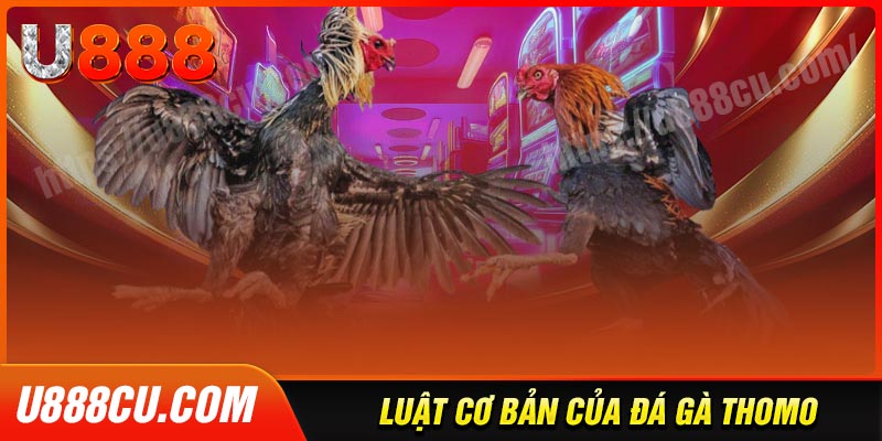 Luật đá gà thomo chi tiết cho tân thủ 2025