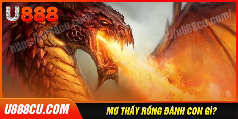 Nằm ngủ mơ thấy rồng đánh con gì