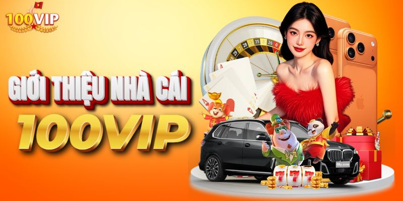 gioi-thieu-so-luoc-ve-thuong-hieu-100-vip-uy-tin