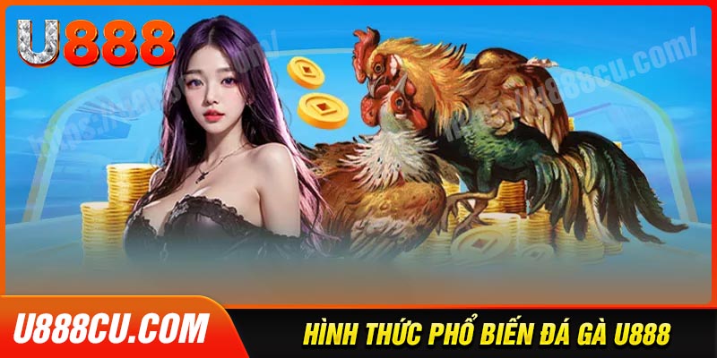 Các hình thức đá gà U888 đỉnh cao cho bet thủ